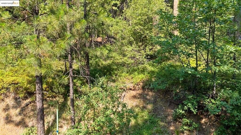 0.19 Acres of Residential Land for Sale in Long Barn, California