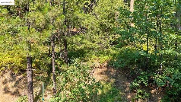 0.19 Acres of Residential Land for Sale in Long Barn, California