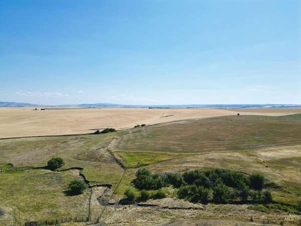 21.9 Acres of Recreational Land for Sale in Cottonwood, Idaho