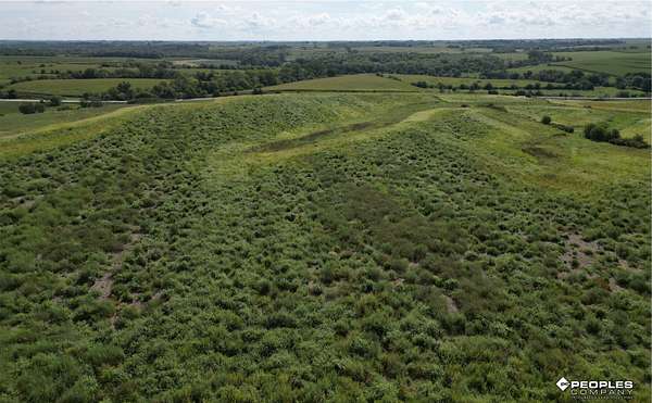 157 Acres of Recreational Land & Farm for Auction in Indianola, Iowa