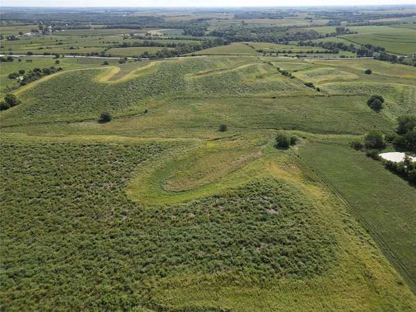 157 Acres of Agricultural Land for Auction in Indianola, Iowa