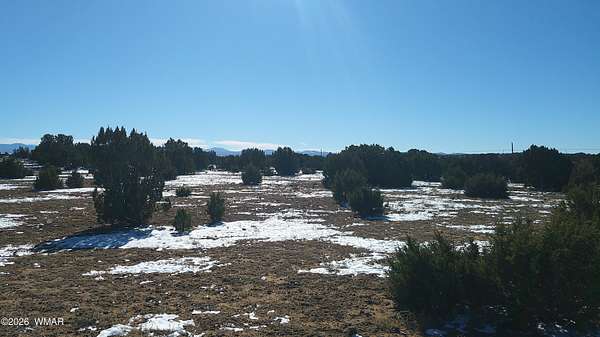 7 Acres of Residential Land for Sale in Concho, Arizona