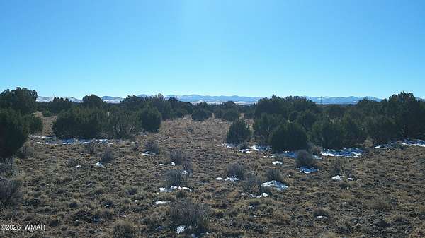 7 Acres of Residential Land for Sale in Concho, Arizona