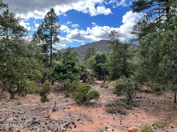 0.3 Acres of Residential Land for Sale in Pine, Arizona