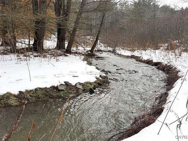 90 Acres of Recreational Land for Sale in Bolivar, New York