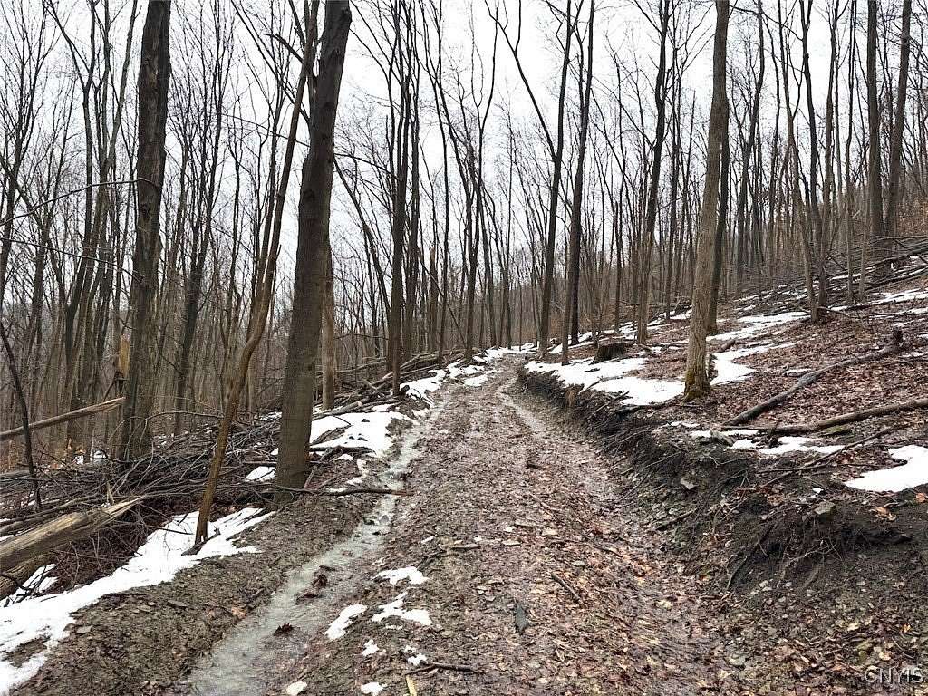 67.2 Acres of Recreational Land for Sale in Hinsdale, New York