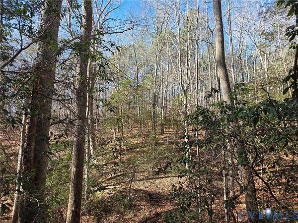 88 Acres of Land for Sale in Mechanicsville, Virginia
