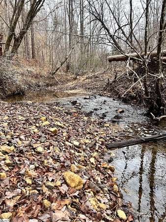 61.4 Acres of Recreational Land for Sale in Six Mile, South Carolina