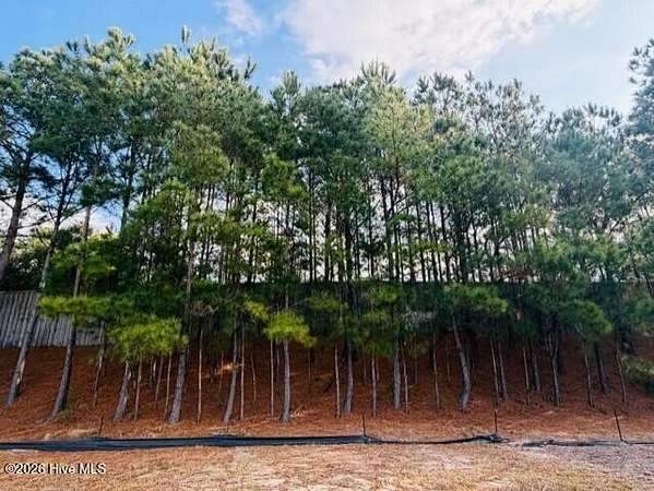 0.22 Acres of Residential Land for Sale in Leland, North Carolina