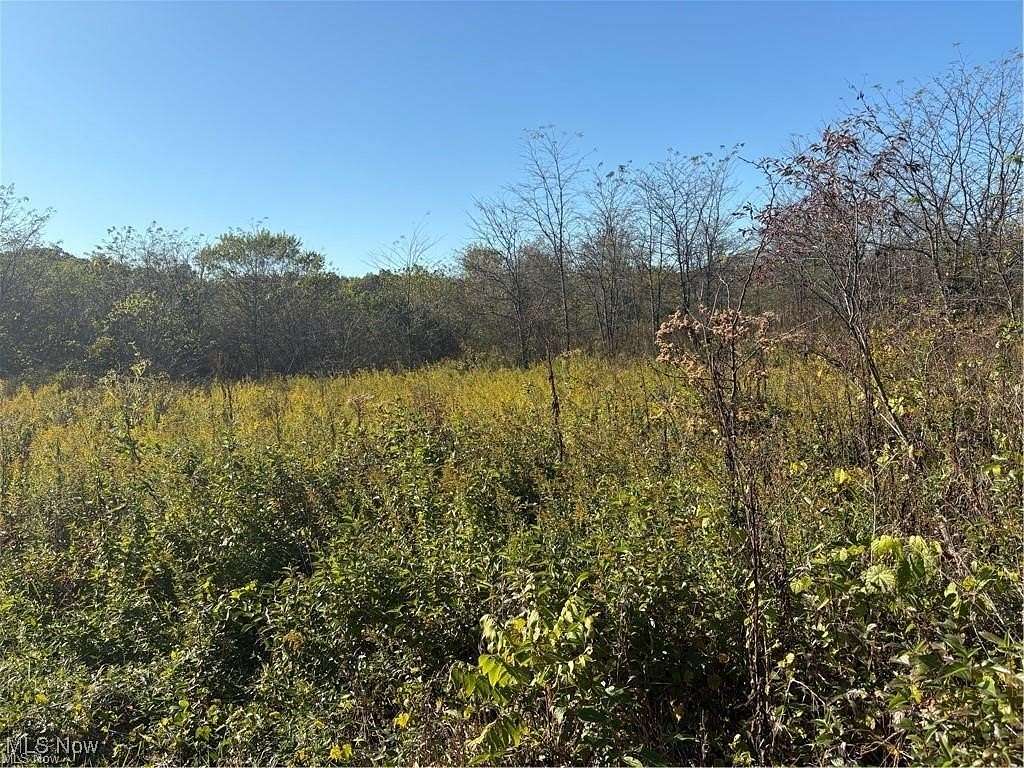 20 Acres of Land for Sale in Zanesville, Ohio