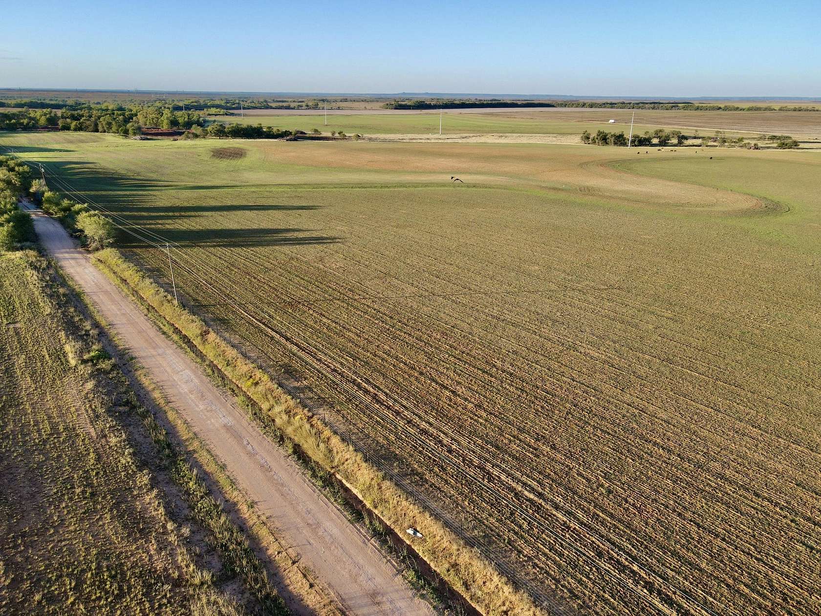 20 Acres of Land for Sale in Turkey, Texas