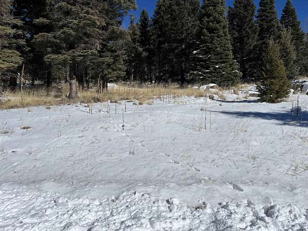 0.89 Acres of Residential Land for Sale in Angel Fire, New Mexico