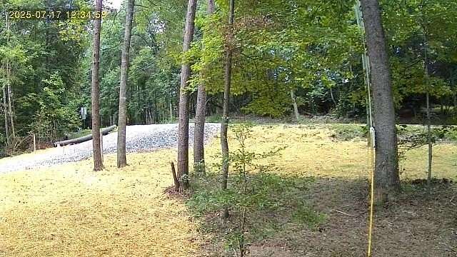 0.73 Acres of Residential Land for Sale in Ellijay, Georgia