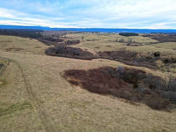 93 Acres of Agricultural Land for Sale in Dublin, Virginia