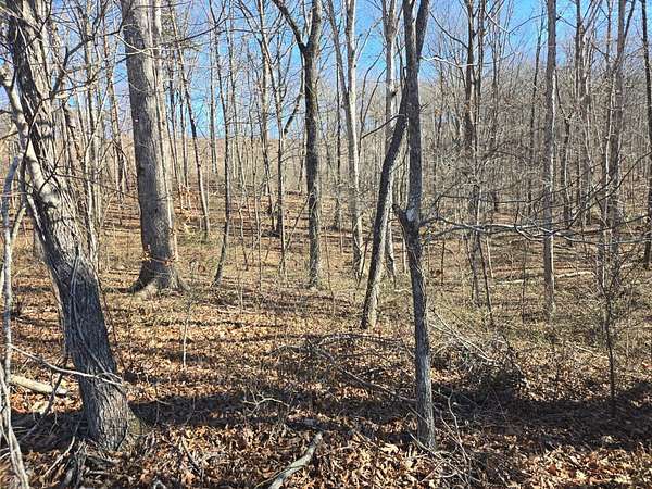 Residential Land for Sale in Palmer, Tennessee