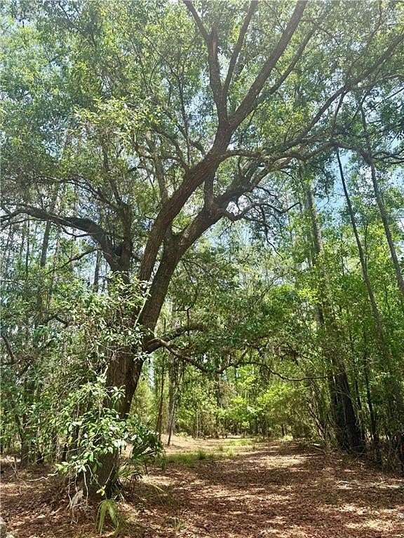 6.58 Acres of Residential Land for Sale in Brunswick, Georgia