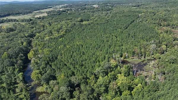 120 Acres of Recreational Land for Sale in Plainview, Arkansas