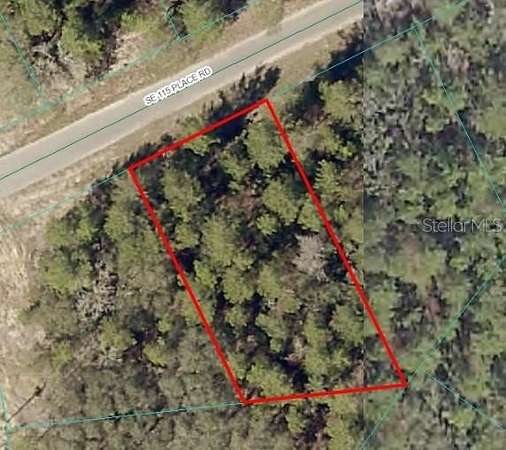 0.29 Acres of Residential Land for Sale in Ocklawaha, Florida