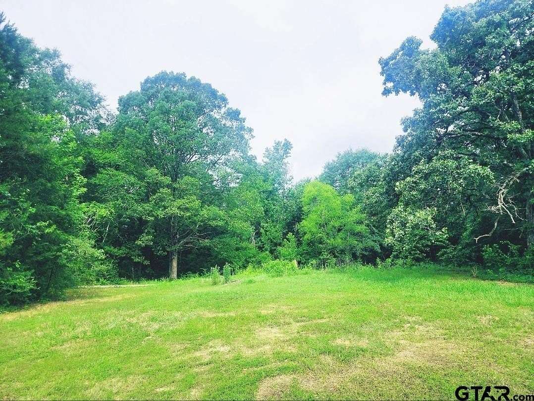 1 Acre of Residential Land for Sale in Harleton, Texas