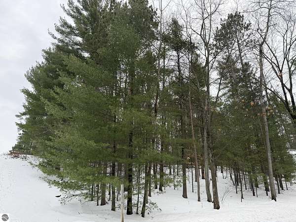 0.53 Acres of Residential Land for Sale in Traverse City, Michigan