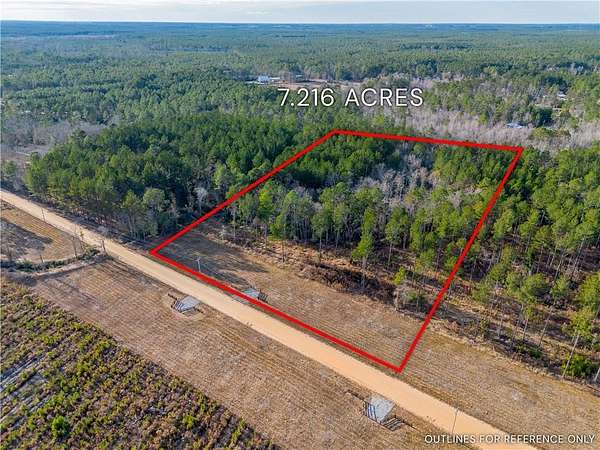 7.22 Acres of Agricultural Land for Sale in Brooklet, Georgia
