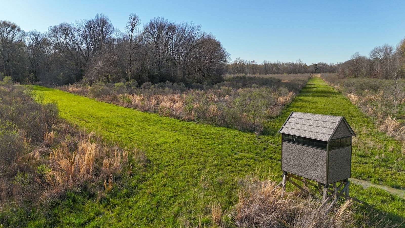 240 Acres of Recreational Land for Sale in Mangham, Louisiana