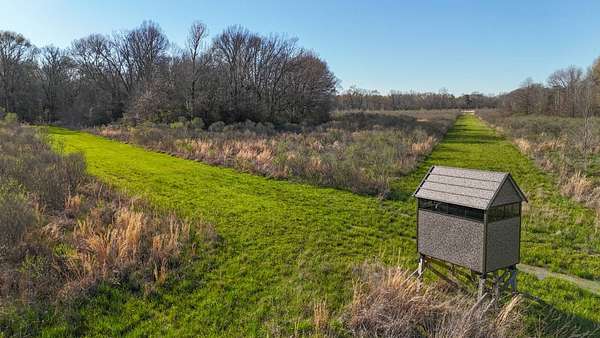 240 Acres of Recreational Land for Sale in Mangham, Louisiana