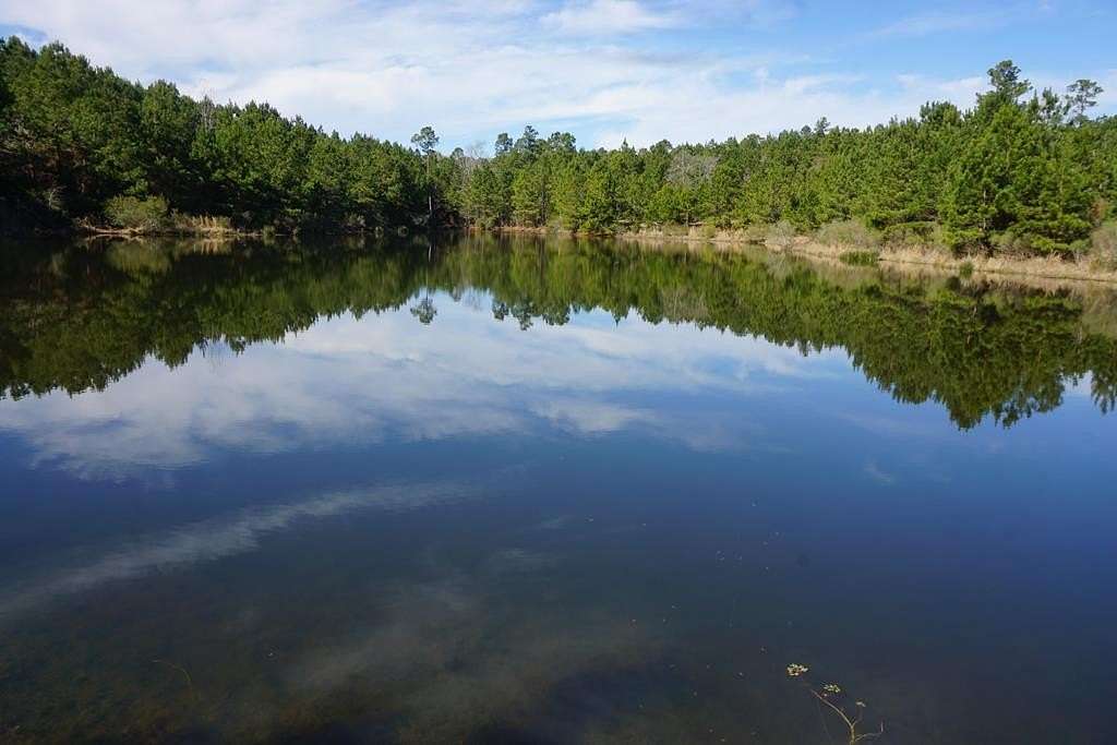 56.6 Acres of Recreational Land for Sale in Palestine, Texas