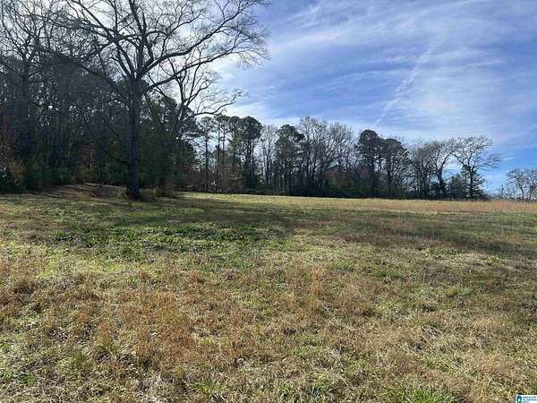 20 Acres of Mixed-Use Land for Sale in Pinson, Alabama