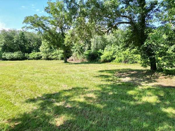 145 Acres of Recreational & Residential Land for Sale in Brundidge, Alabama