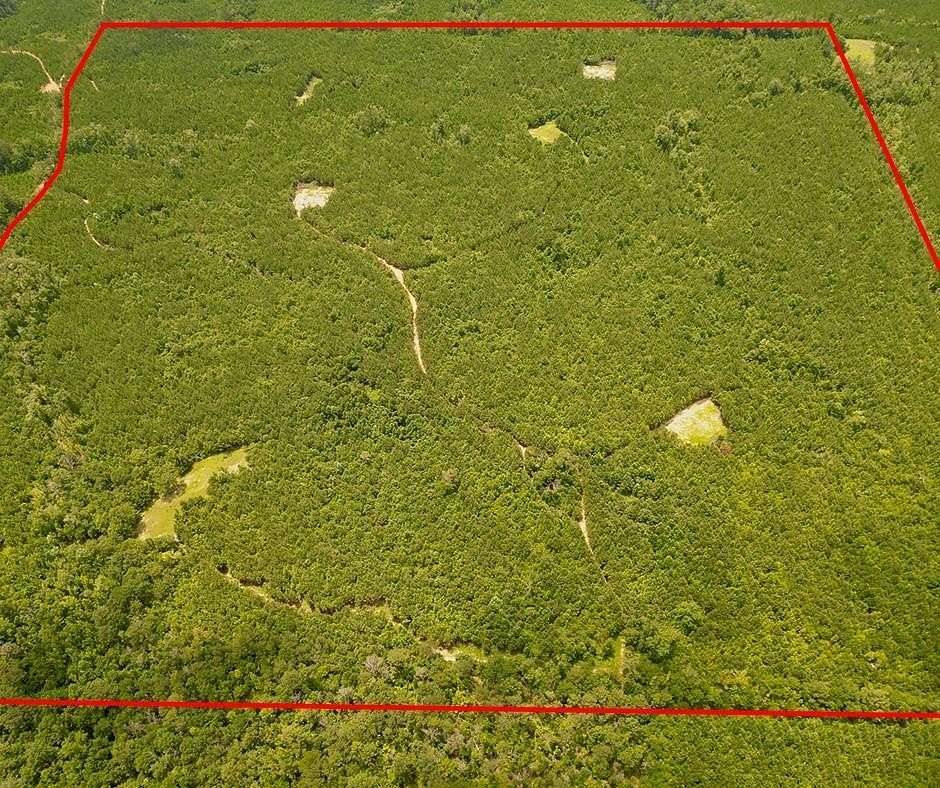 146 Acres of Recreational Land for Sale in Georgiana, Alabama