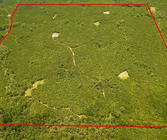 146 Acres of Recreational Land for Sale in Georgiana, Alabama