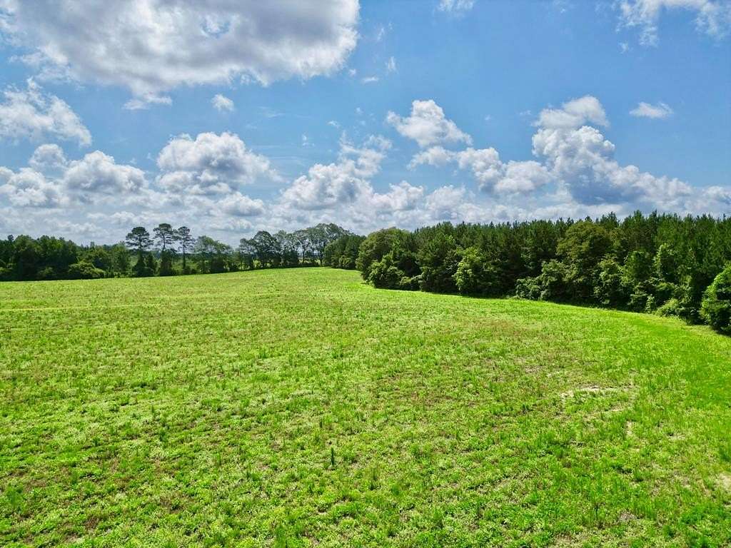 9.9 Acres of Land for Sale in Brundidge, Alabama