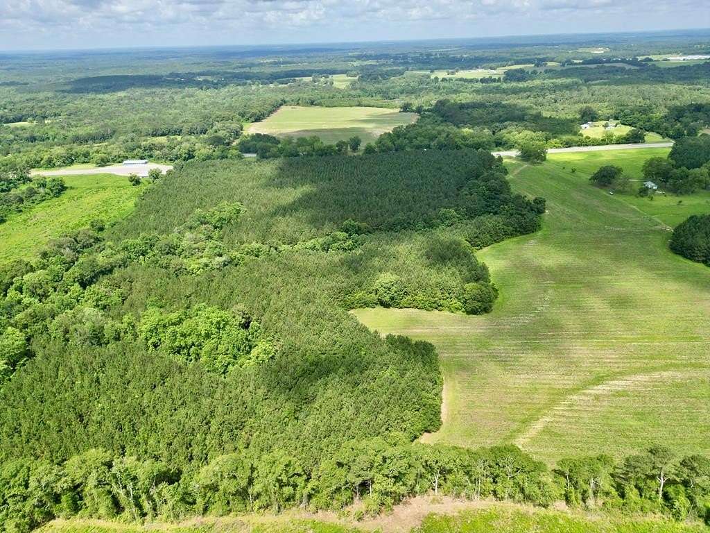 9.65 Acres of Land for Sale in Brundidge, Alabama