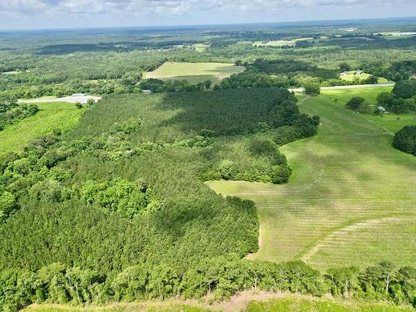 9.65 Acres of Land for Sale in Brundidge, Alabama