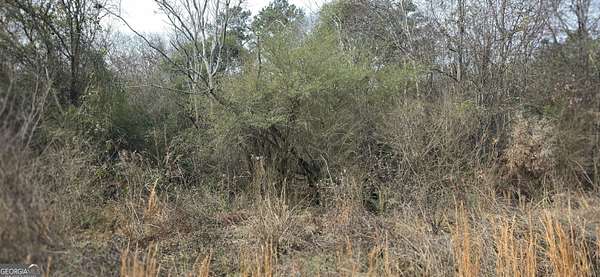 8.25 Acres of Commercial Land for Sale in Macon, Georgia