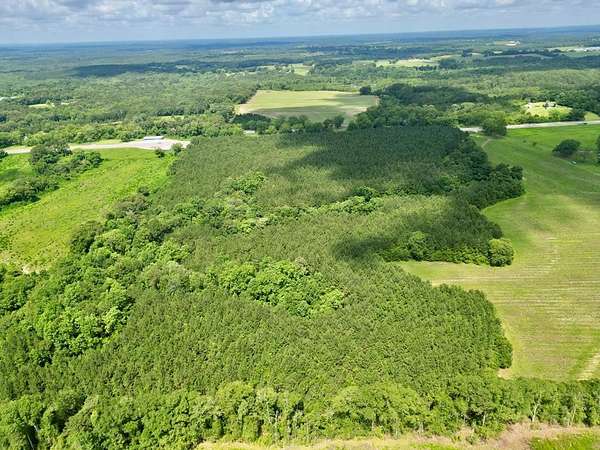 8.6 Acres of Residential Land for Sale in Brundidge, Alabama