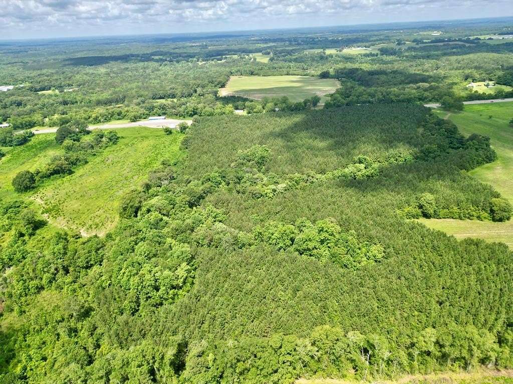 8.54 Acres of Residential Land for Sale in Brundidge, Alabama