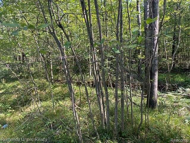 5 Acres of Residential Land for Sale in Alger, Michigan