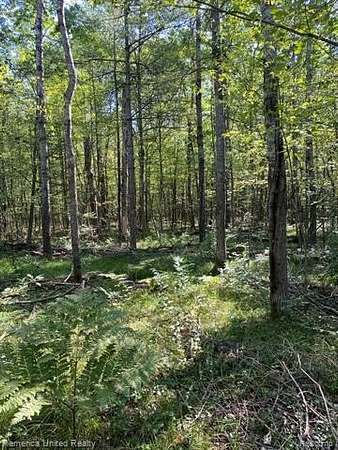 5 Acres of Residential Land for Sale in Alger, Michigan