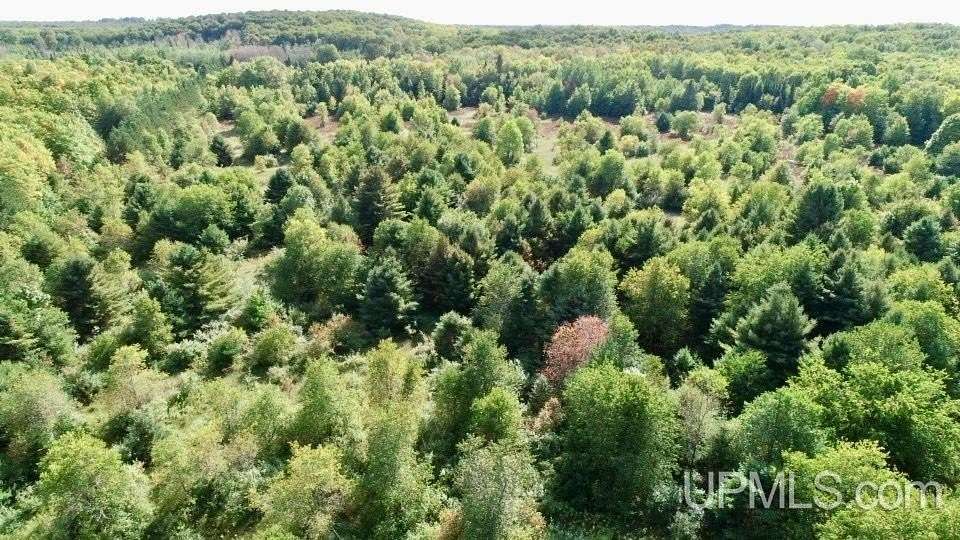 26.4 Acres of Recreational Land for Sale in McMillan, Michigan