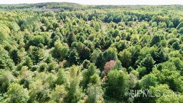 26.4 Acres of Recreational Land for Sale in McMillan, Michigan