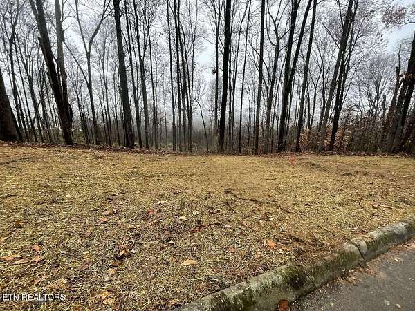1.38 Acres of Residential Land for Sale in Sweetwater, Tennessee