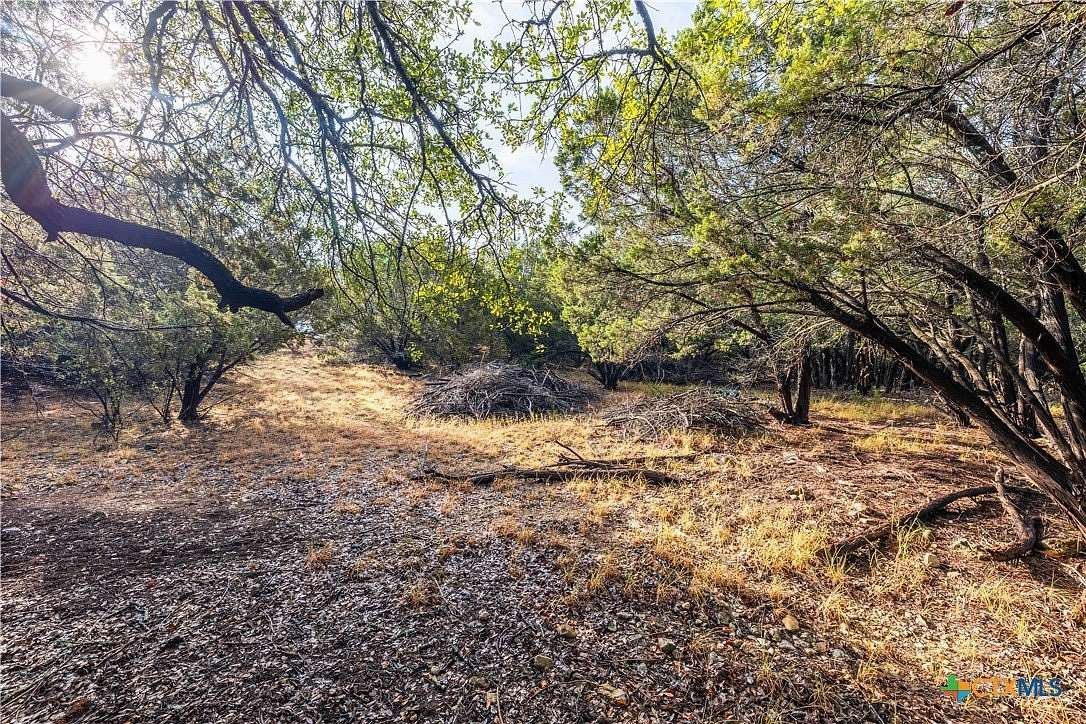 0.59 Acres of Residential Land for Sale in Lago Vista, Texas