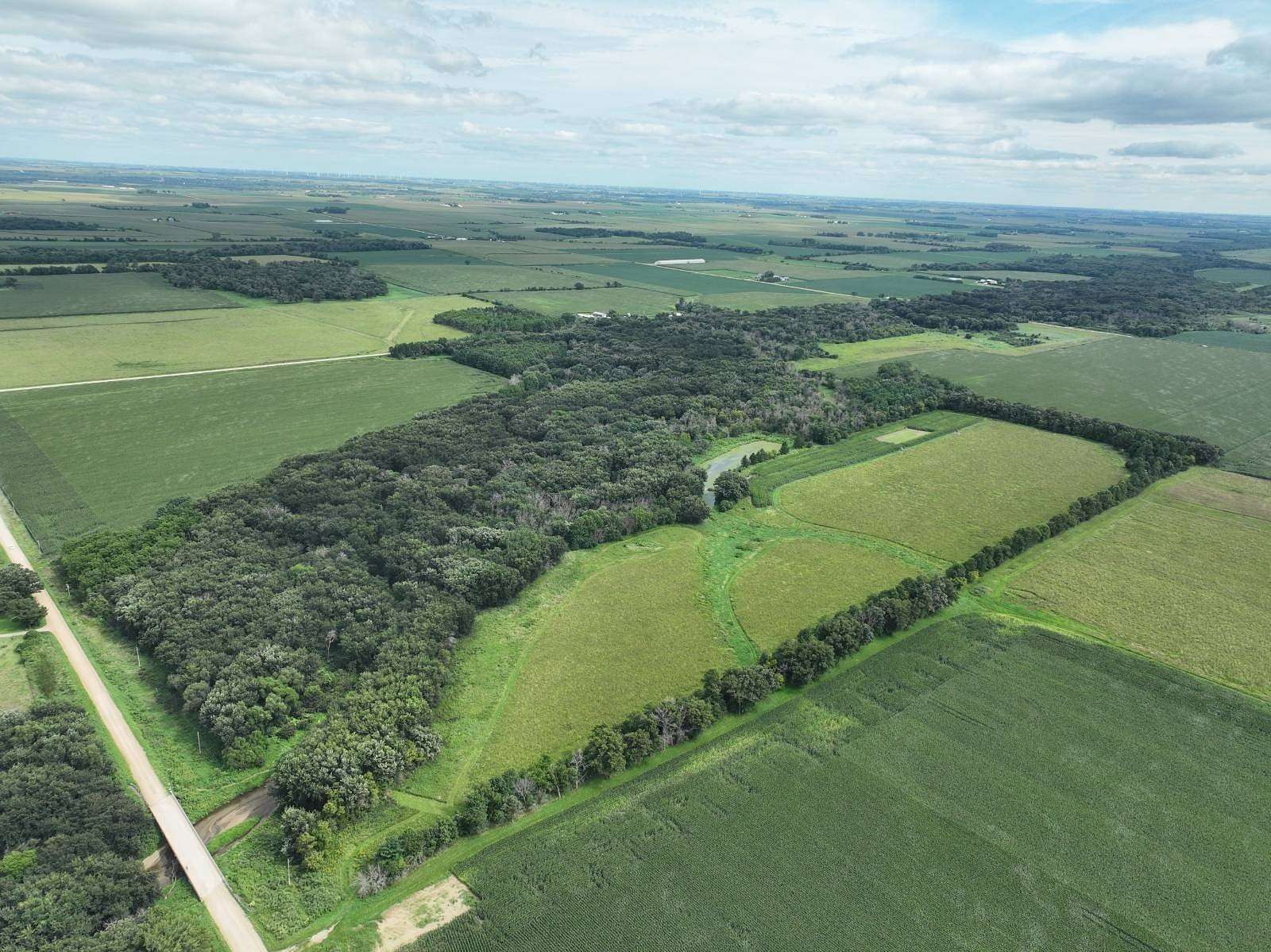 111 Acres of Land for Sale in Riceville, Iowa