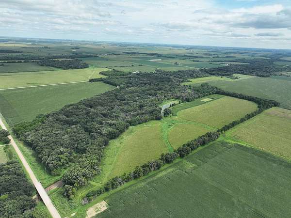 111 Acres of Land for Sale in Riceville, Iowa