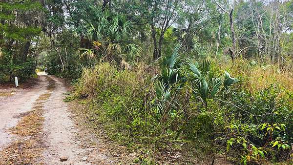 0.73 Acres of Residential Land for Sale in Crescent City, Florida