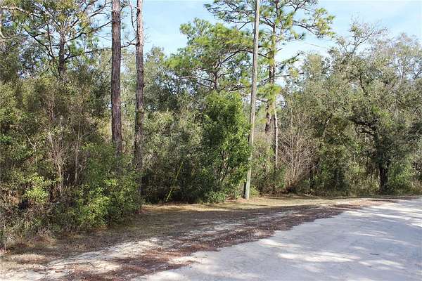 2.2 Acres of Residential Land for Sale in Dade City, Florida