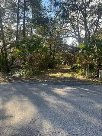 0.29 Acres of Residential Land for Sale in Weeki Wachee, Florida