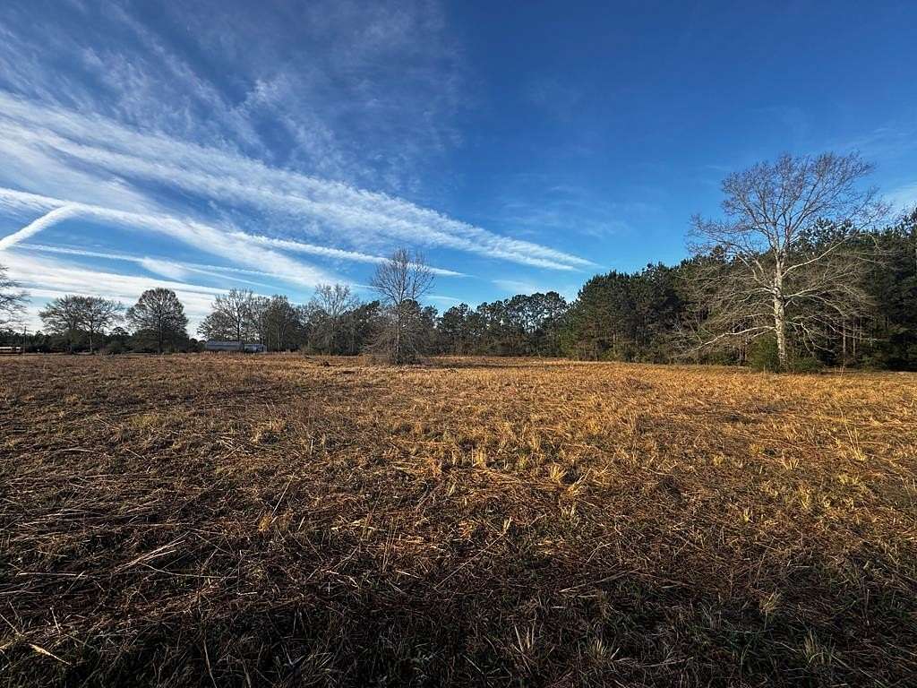 4 Acres of Residential Land for Sale in Carriere, Mississippi